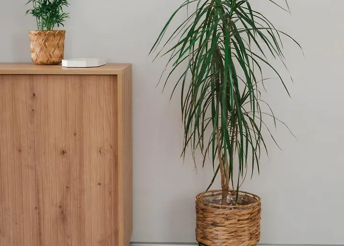 37, Skwer Kosciuszki - Centrum Daire